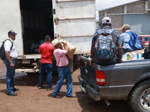 Los productores recibieron los incentivos otorgados por parte de la Secretaría de Agricultura y Ganadería (SAG) para fortalecer los cultivos de frijol en el departamento de El Paraíso.