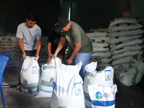 Las autoridades gubernamentales brindan incentivos a los productores como parte de la asistencia debido a la sequía que afecta la mayor parte del territorio nacional.
