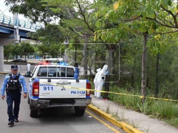 El fuerte olor que emanaba del lugar habría alertado a los vecinos del sector, quienes se percataron de la presencia del cuerpo y dieron aviso a las autoridades.