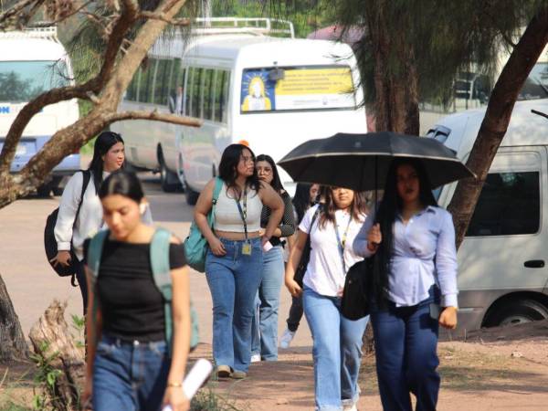 Las autoridades aseguraron el transporte universitario para los estudiantes que ingresaron en el segundo período académico.