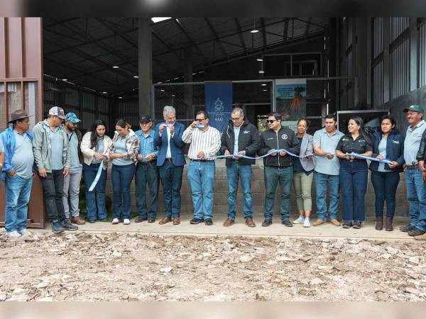 Representantes de Ficohsa, PROVIASA y productores beneficiados participan en la iniciativa impulsada en el marco de los 18 años del Programa De Mi Tierra.