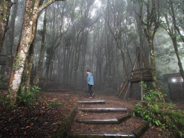 El Bosque Nublado es uno de los senderos más visitados en La Tigra. En el recorrido pueden observar helechos, musgos y escuchar el canto de las aves.