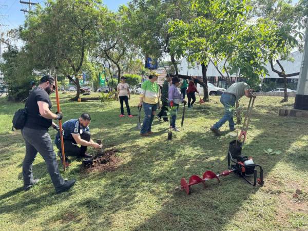 El departamento de Parques y Jardines de la Alcaldía capitalina reporta 120,000 plantas ornamentales y maderables, luego de sembrar 40,000 ejemplares en distintos sectores de la ciudad.