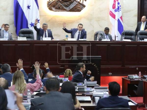 El Poder Legislativo tiene todo listo para entregar los fascículos sobre principios y valores en escuelas de Honduras.