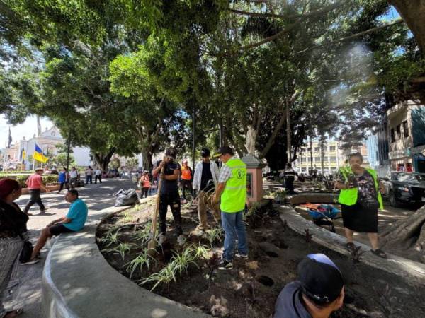 Los trabajos abarcan los parques El Obelisco, Herrera, La Libertad y La Leona. También incluyen áreas verdes de la rotonda de MetroMall, la rotonda de Las Brisas y los alrededores del mercado La Isla.