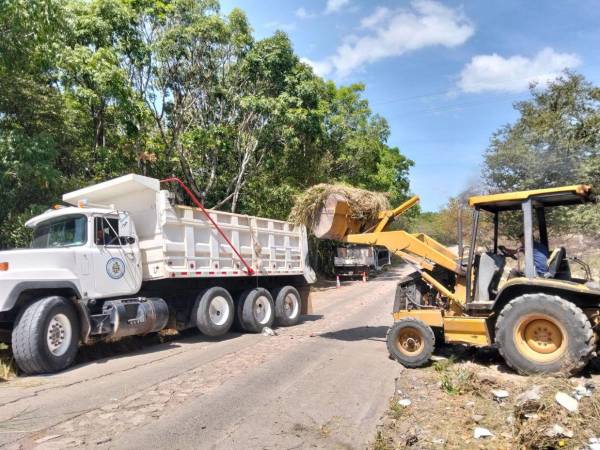 La acumulación de basura en las cercanías del río Guacerique provocó una intervención municipal que permitió retirar 12 toneladas.