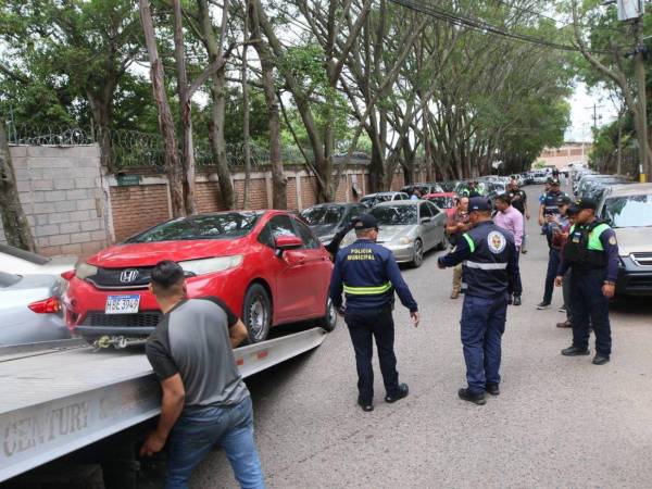La Alcaldía pide a los capitalinos reportarlo por WhatsApp para que los equipos municipales atiendan la denuncia.