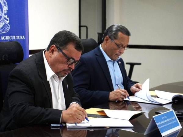El ministro de la Secretaría de Agricultura y Ganadería (SAG), Moisés Molina, firmó el convenio con el que se pretende fortalecer la producción agrícola en el occidente de Honduras.