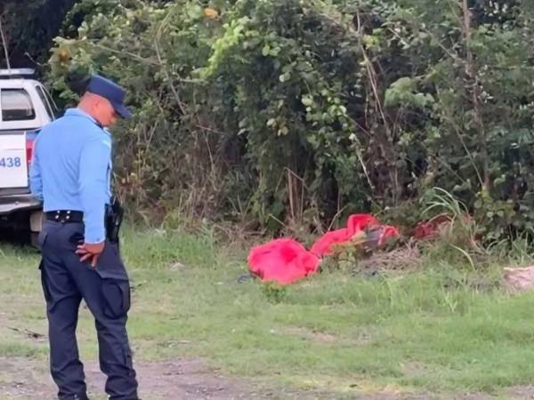 Los cuerpos están envueltos en bolsas plásticas.