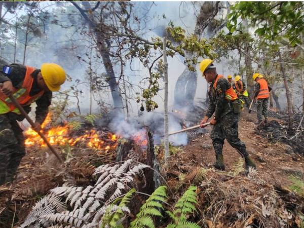 La Alcaldía del Distrito Central informó que las hectáreas afectadas por incendios forestales se redujeron 86% en 2026 frente a 2024, según informe oficial datos AMDC