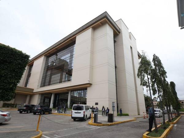 El titular del TJE reiteró que los recursos presentados por la abogada Karla Romero fueron declarados inadmisibles al no cumplir con los requisitos legales establecidos.