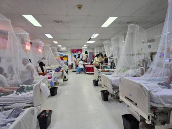 Los casos de dengue este año se redujeron considerablemente, en 2024 se contabilizaron más de 170,000 enfermos, en su mayoría menores de edad.