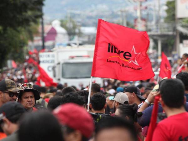 El escrutinio especial avanza a paso lento debido a dos partidos políticos denunció la consejera Cossette López.