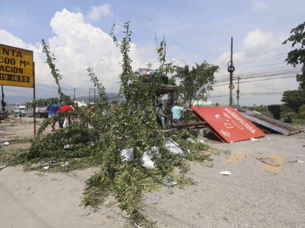 Varias barricadas con árboles y rótulos impiden el paso en Choloma.