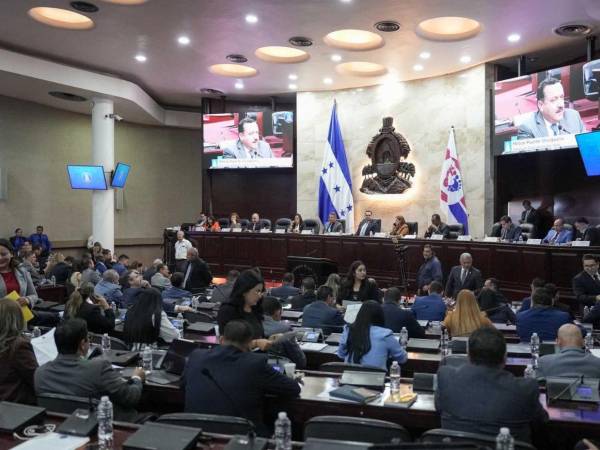 La comisión comenzará a recibir las postulaciones este martes.