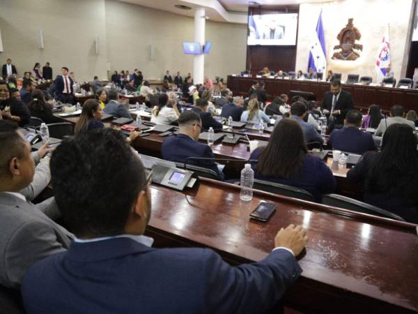 El blindaje fue aprobado por el pleno del Legislativo.