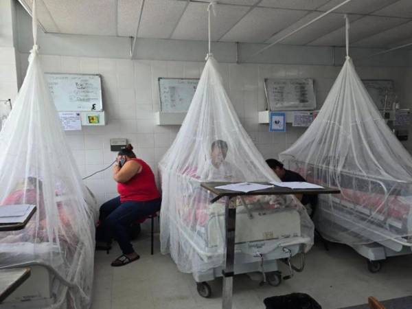 Aunque los casos de dengue grave y muertes se mantienen en cero, Salud pide no bajar la guardia ante nuevos contagios.