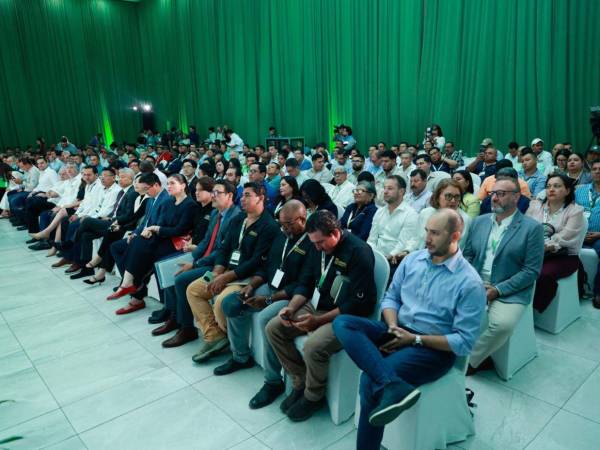 Los productores de palma se reunieron en San Pedro Sula para participar en el II Congreso de Palmicultores donde el gobierno de la República les ofreció los incentivos.