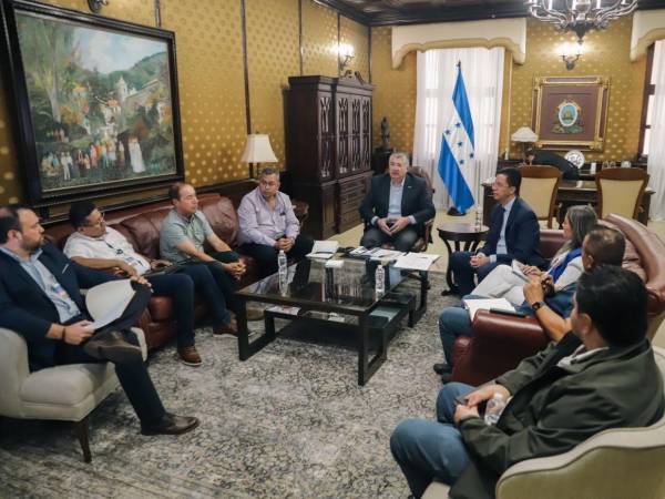 Miembros del gobierno de la República se reunieron con representantes de los productores e industriales de palma africana y analizaron los temas para ampliar los mercados internacionales.