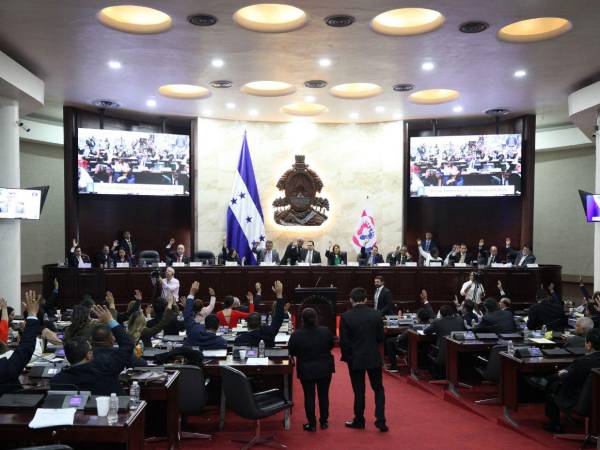 El proyecto de ley fue presentado ante el Congreso Nacional (CN), por la diputada del Partido Liberal, Sarahí Espinal.