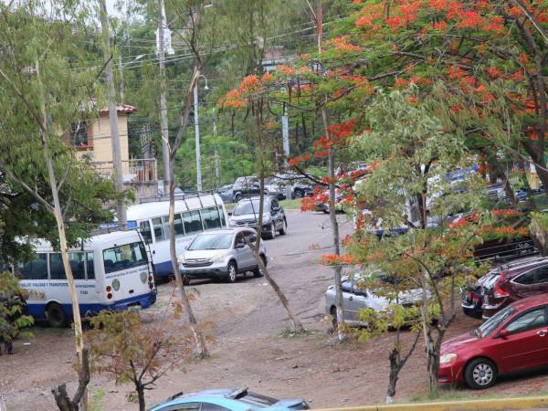 La Policía Municipal indicó que antes de determinar si existe una irregularidad es necesario establecer la condición legal del predio.
