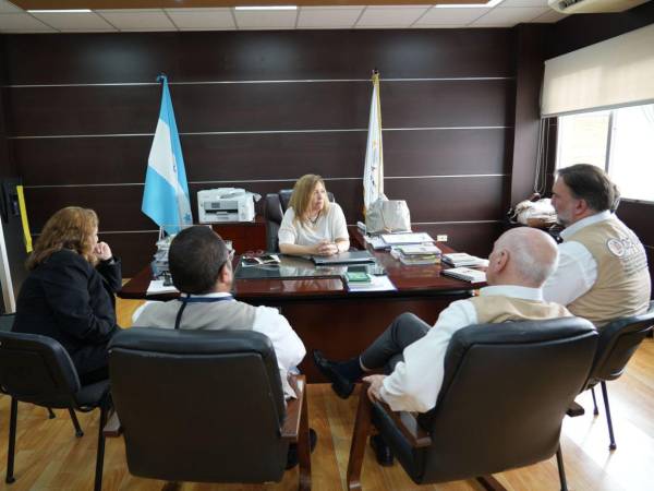 La consejera Ana Paola Hall participó en la reunión con la misión de la OEA.