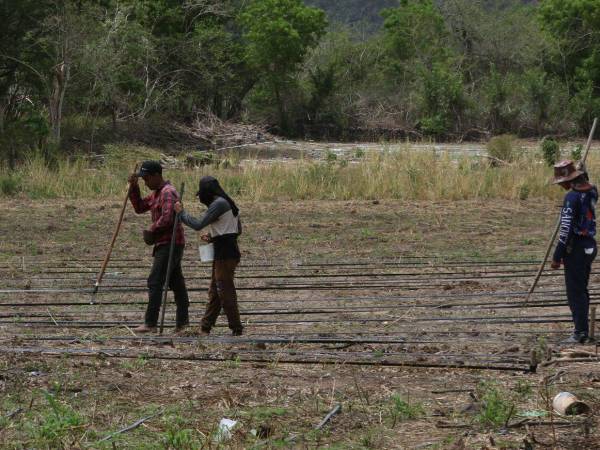 Las autoridades municipales prevén un panorama todavía más complicado para los próximos meses debido a que las fuentes de agua continúan disminuyendo.