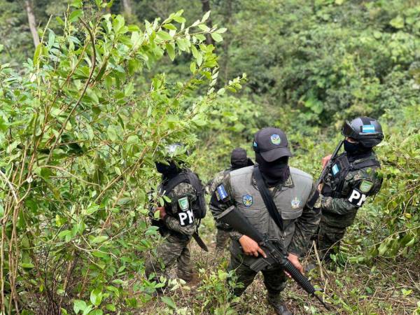 La ubicación de la plantación de hoja de coca se produjo en uan zona de montaña entre Olanchito y La Masica.