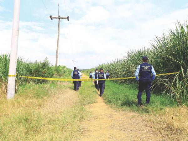 Ana Lara Rodríguez y Kelvin López Gómez fueron sacados de su casa en la colonia Gracias a Dios de SPS la madrugada del lunes y hallados sin vida horas después en La Sabana, San Manuel.