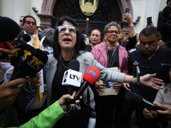 Este martes 28 de octubre, al filo de las 3:00 p.m, los partidos de oposición llevaron a cabo una sesión extraordinaria en los bajos del Congreso Nacional (CN). Estas son las imágenes que dejó este hecho.