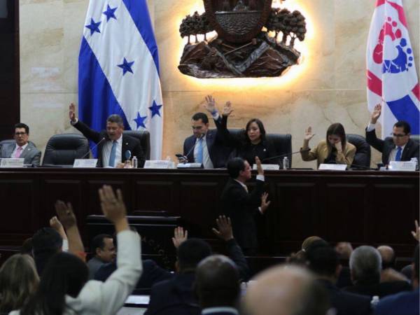 Las bancadas del Congreso Nacional deberán tener la voluntad política para apoyar las reformas electorales.