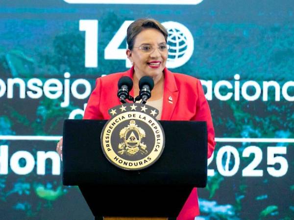 La mandataria llegará en las próximas horas a Belém do Pará, en el norte de Brasil.