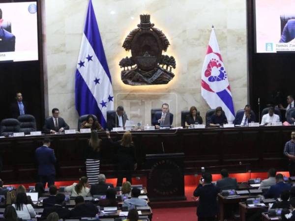El anteproyecto busca ampliar la respuesta institucional frente a los casos de violencia doméstica y atender las consecuencias sociales que enfrentan las personas afectadas