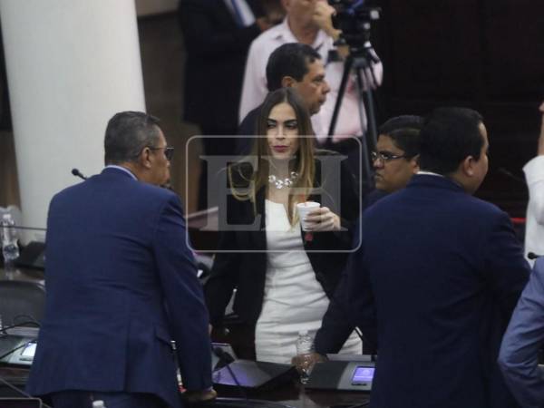 El Congreso Nacional pidió al Partido Liberal presentar con mayor rapidez su contrapropuesta a la reforma eléctrica.