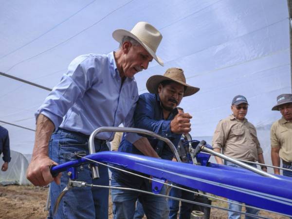 El anuncio de una inversión de 17 millones de dólares, equivalentes a unos L455 millones, para ampliar el Proyecto Integral de Desarrollo Rural y Productividad (ProOccidente) ha despertado el interés de miles de productores hondureños. Pero, ¿quiénes podrán acceder a este programa y qué beneficios contempla? Te lo contamos.