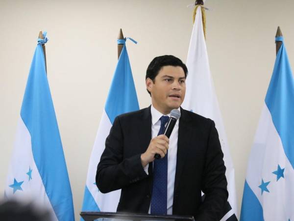 La llegada de congresistas estadounidenses como observadores se confirmó en medio de versiones cruzadas sobre cómo se tomó la decisión en el pleno del CNE.