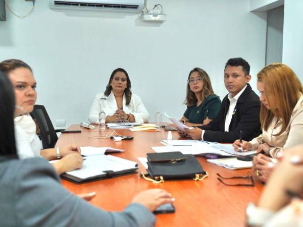 La comisión ha venido trabajando de manera previa en la construcción de instrumentos jurídicos para endurecer los castigos.