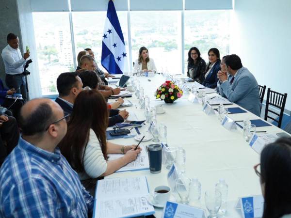 La designada presidencial María Antonieta Mejía asumió la conducción del sistema, con la tarea de articular respuestas inmediatas.