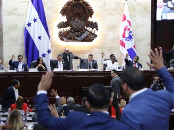 ​El titular de la cámara legislativa destacó las acciones iniciales emprendidas por la Secretaría de Gestión de Riesgos y Contingencias Nacionales (Copeco), la Secretaría de Agricultura y Ganadería (SAG) y la Secretaría de Finanzas para llevar asistencia alimentaria a los hogares afectados.