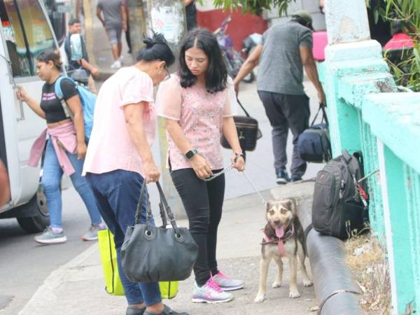 La Semana Santa mueve a cientos de capitalinos que viajan a sus pueblos o destinos turísticos, mientras otros disfrutan actividades religiosas en zonas cercanas.