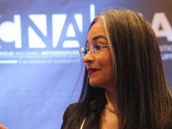 La titular del CNA aseguró que la organización continuará presionando al Congreso Nacional para que actúe en torno a estos planteamientos.