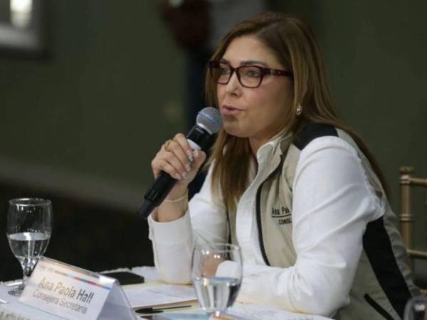 La consejera Ana Paola Halla urgió al Tribunal de Justicia que entregue la resolución de la apelación.