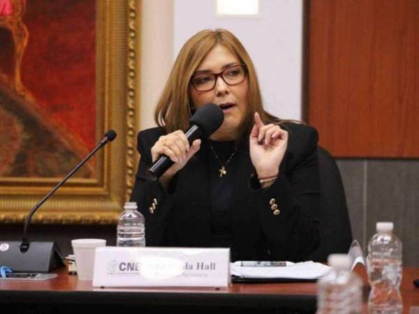 Durante esta sesión, el pleno del CNE aprueba el Reglamento de Observación Electoral.