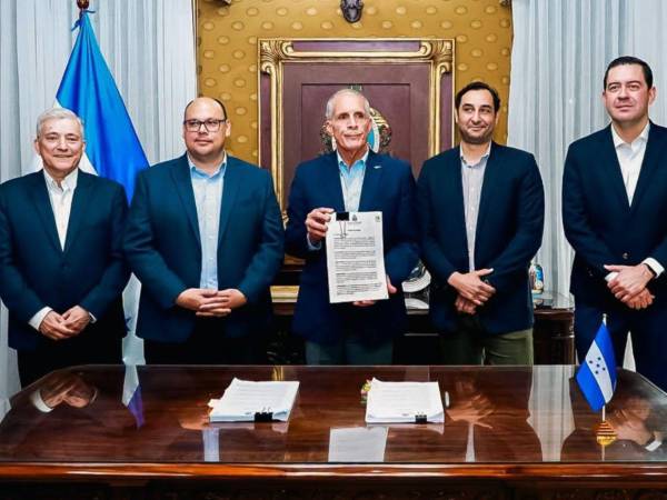 El objetivo de esta reorganización es ordenar el funcionamiento de cada una de estas áreas y establecer una estructura diferenciada dentro del sistema eléctrico nacional.
