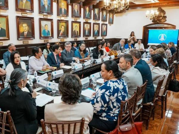 Las autoridades del Congreso Nacional realizaron la socialización con organizaciones internacionales y de sociedad civil.