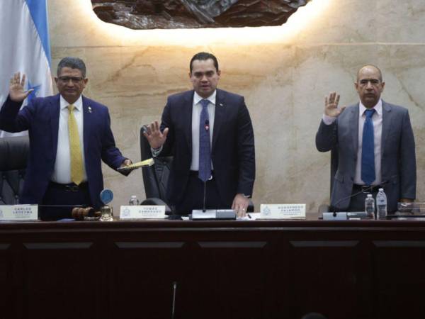 Un nuevo Congreso Nacional (CN) se instaló este viernes 23 de enero. Previo al acto oficial, los 128 diputados propietarios y los 128 suplentes fueron debidamente juramentados.