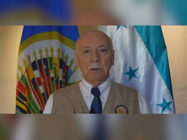 El jefe de la Misión de Observación Electoral de la Organización de los Estados Americanos (OEA), Eladio Loizaga.
