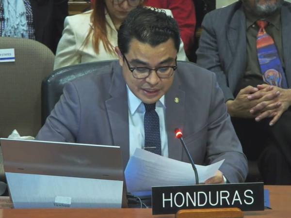 El vicecanciller de Honduras, Gerardo Torres, brindó sus consideraciones al informe de las elecciones ante la OEA.