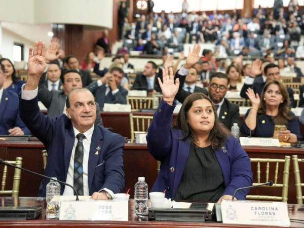 El Congreso aceptó la renuncia de una diputada suplente del Partido Liberal.