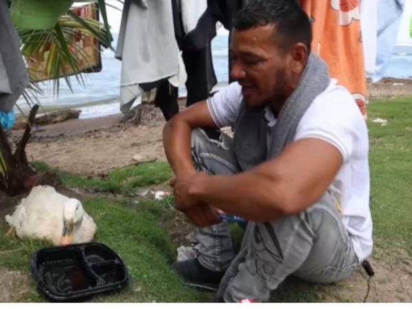 Luis Miguel emprende su retorno a casa junto a su fiel compañera Filomena.